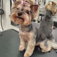 Фото работ Елена К