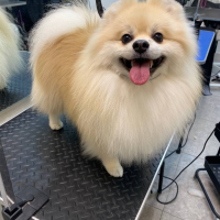 Фото работ Анна