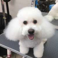 Фото работ Ольга Л