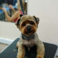 Фото работ Елена