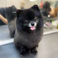 Фото работ Александра