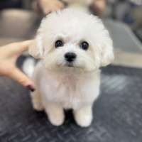 Фото работ Анастасия Н