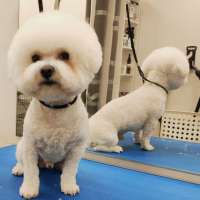 Фото работ Елена