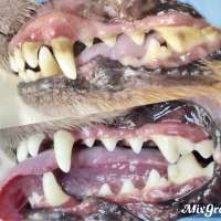 Фото работ Анна К.