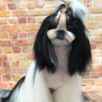 Фото работ Наталья