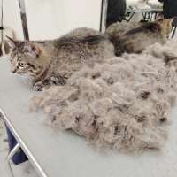 Фото работ Елена К