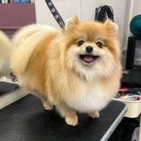 Фото работ Олеся С