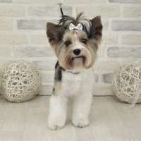 Фото работ Анна К.