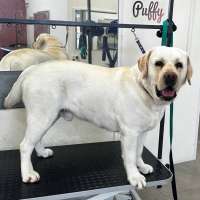 Фото работ Светлана М.