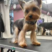 Фото работ Олеся С