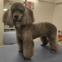 Фото работ Светлана