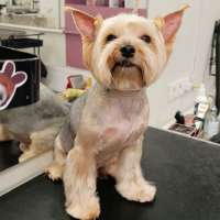 Фото работ Елена И.