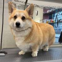 Фото работ Милана