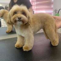 Фото работ Елизавета