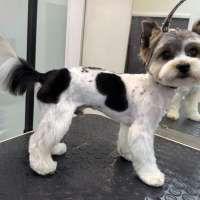 Фото работ Анастасия Н