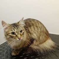 Фото работ Елена