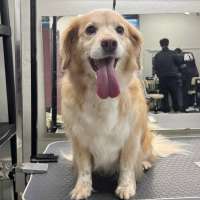 Фото работ Милана