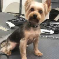 Фото работ Ольга Л