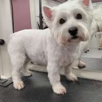 Фото работ Елена К