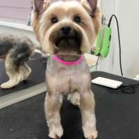 Фото работ Елизавета