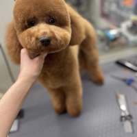 Фото работ Наталья