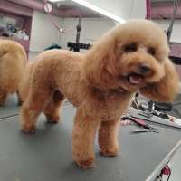 Фото работ Елена К