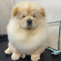 Фото работ Анна