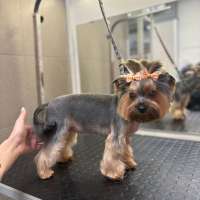 Фото работ Анна Р