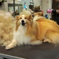 Фото работ Ксения