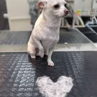 Фото работ Анастасия Н