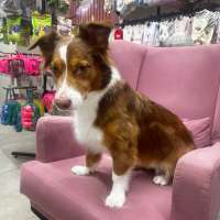 Фото работ Светлана М.