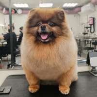 Фото работ Елена И.