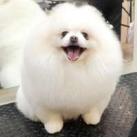 Фото работ Елена