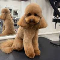 Фото работ Эльза