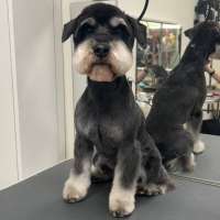 Фото работ Ирина С.