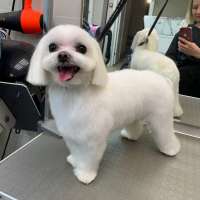 Фото работ Анна К.