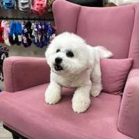 Фото работ Светлана М.