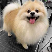 Фото работ Анна