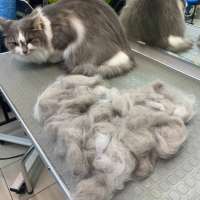 Фото работ Анна К.