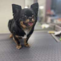 Фото работ Наталья