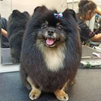 Фото работ Александра