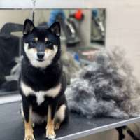 Фото работ Ксения