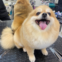 Фото работ Анна