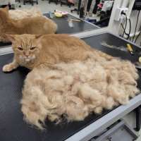 Фото работ Елена К