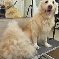 Фото работ Александра