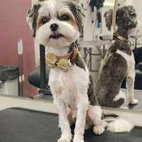 Фото работ Елена И.