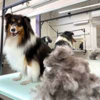 Фото работ Валерия