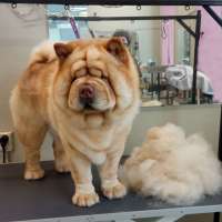 Фото работ Галина