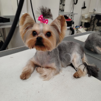 Фото работ Елена К