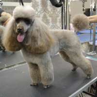 Фото работ Светлана